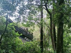 -水濂山森林公园