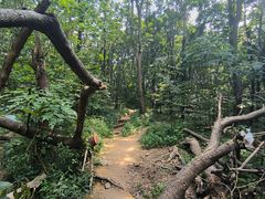 -紫金山山顶公园
