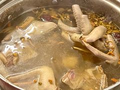 -百利鸽王(紫薇路店)