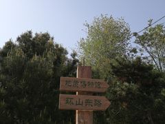 -府君山公园