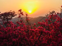 -木兰云雾山