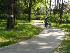 -玲珑塔公园