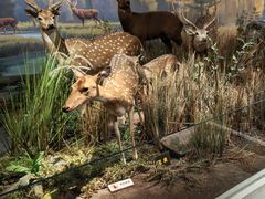 -陕西自然博物馆