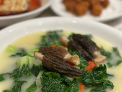 -東海薈。拉斐特(青衣城店)