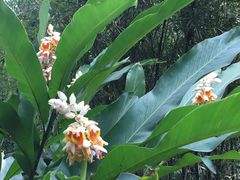 景观位-赛百味SUBWAY(地王广场店)