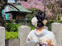 -东京浅草和服体验江户和装工房雅(浅草本店)