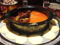 -蜀滋香鲜鱼火锅(黄金路店)