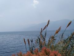 -大理洱海