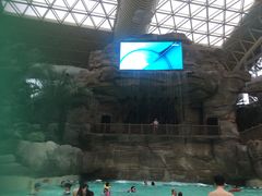 -杭州开元森泊度假乐园