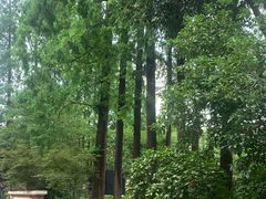 -梅记大块头爆鱼店(乍浦路店)