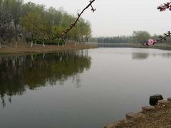 -大兴滨河森林公园