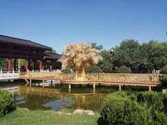 -鑫涛温泉汗蒸时代