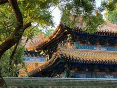 -北京国子监胡同