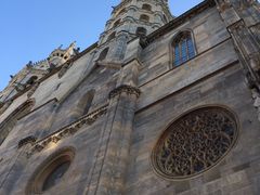 -斯蒂芬主教座堂(Stephansdom)