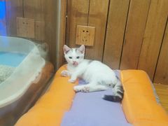 -龟与熊猫宠物公园(南坪店)