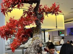 -苏小柳点心·手作小笼包(浦东嘉里城分院)