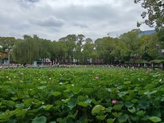 -四川大学(望江校区)