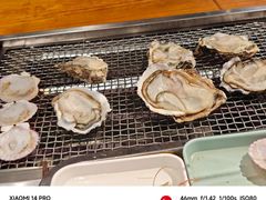 -蚝英雄·鲜蚝自助专门店