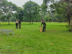 -北京京卫宠物寄养训练中心