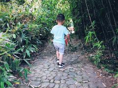 -白塘生态植物园