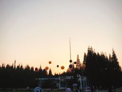 -东平国家森林公园