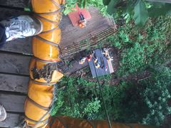 -清迈丛林飞跃 JungleFlight