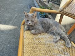 -猫岛主趣味餐厅(鼓浪屿店)