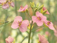 -中国天府农业博览园