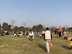 -瑶湖郊野森林公园