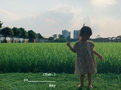 -迪茵湖田家舍生态农场