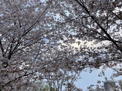 -堤角公园