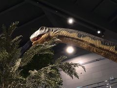 -湖南省地质博物馆