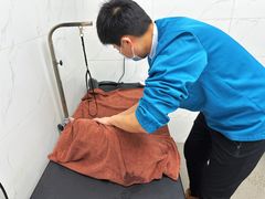 -安安宠医·臻爱宠物医院·宠保定点(营门口路分院)