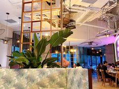 大堂-The Rug Cafe(王府中环店)