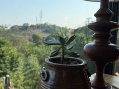 -远山有窑