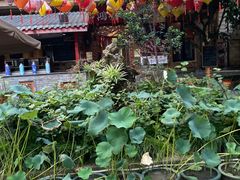 -成都南湖公园