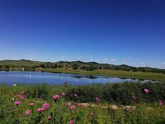 -塞罕坝国家级自然保护区