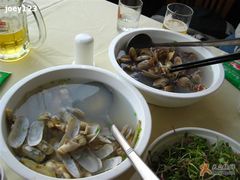 好大两盘蛤蜊和毛鲜-海岛渔村大酒店(云霄路店)