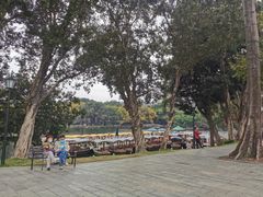 -荔湾湖公园