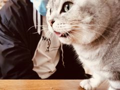 -平行世界·猫咖(首经贸店)