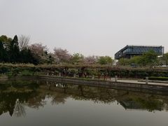-嘉定紫藤园