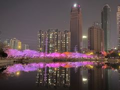 -西北湖绿化广场