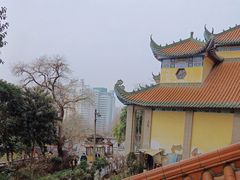-宝通禅寺
