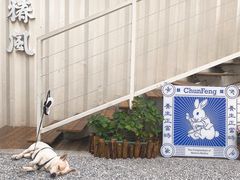 -椿风·养身茶饮(吉大店)