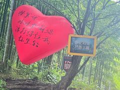 -将军关探险漂流