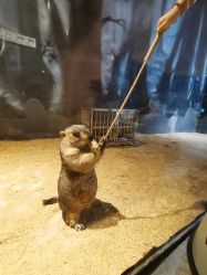 -酷嗒动物文化乐园(cutezoo西溪乐天城店)