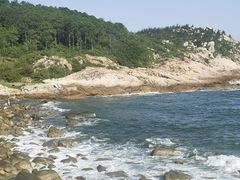 -广东惠东海龟国家级自然保护区