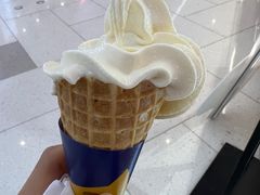-春丽小马(济南恒隆广场店)
