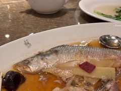 招牌鸡油花雕蒸鲥鱼-苏浙汇(肇嘉浜路总店)