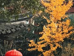 -南京市民俗博物馆(甘熙故居)